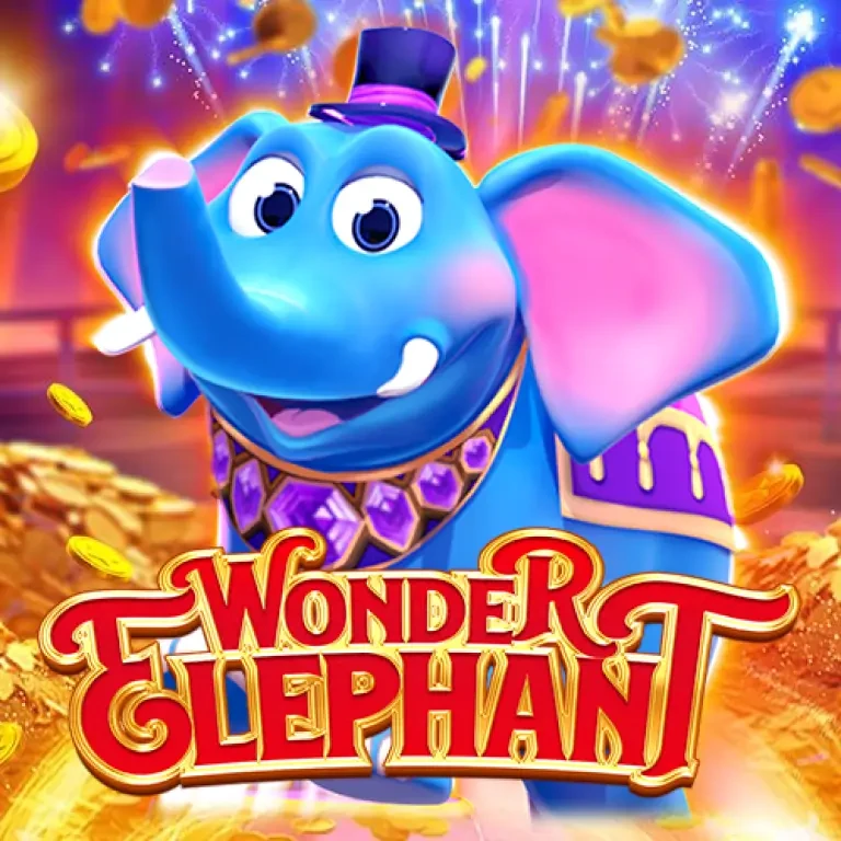 DU88 Wonder Elephant